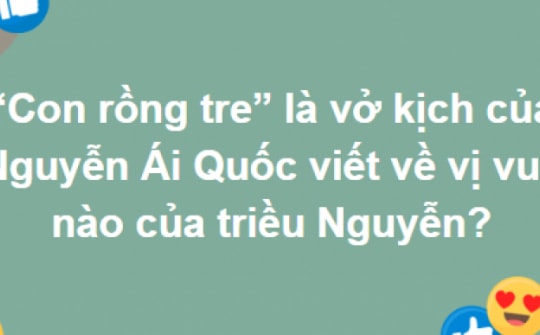 Làm câu đầu tưởng dễ, hóa ra trọn bộ câu hỏi này không đơn giản