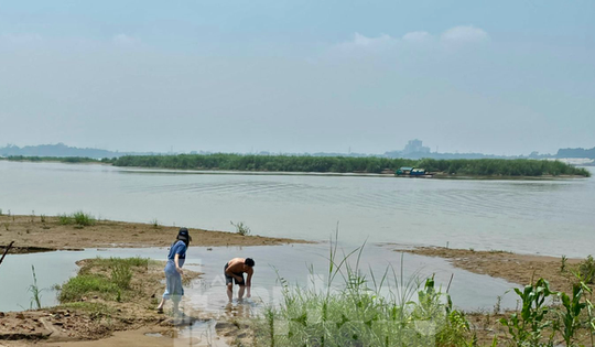 Hà Nội chấp thuận đề án xây dựng công viên văn hoá tại bãi giữa sông Hồng