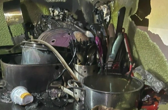Vụ cháy tại tầng 25 chung cư ở Hà Nội: Do mèo khởi động bếp từ?
