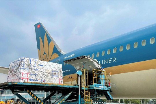 Gần 90 tấn quả vải 'cưỡi' máy bay Vietnam Airlines đi xuất khẩu