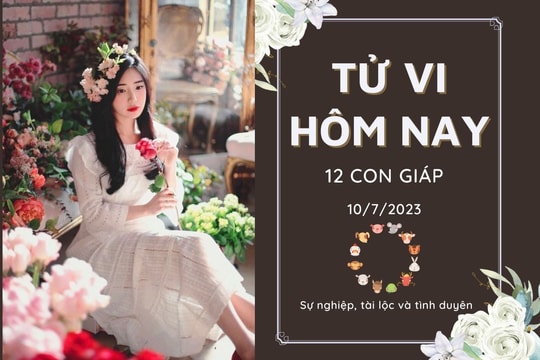 Tử vi hàng ngày hôm nay của 12 con giáp 10/7/2023: Tỵ tài lộc xuống dốc, Ngọ sự nghiệp thăng tiến