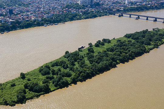 Ngắm vẻ đẹp hoang sơ của bãi giữa sông Hồng, nơi sẽ trở thành công viên văn hóa đa năng