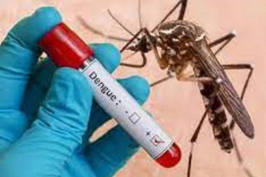 Đắk Lắk ghi nhận ca tử vong do sốt xuất huyết đầu tiên trong năm