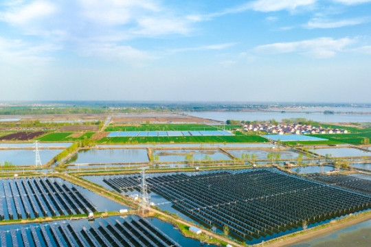 Nhà máy năng lượng mặt trời tích hợp ruộng muối lớn nhất thế giới đã hòa lưới điện