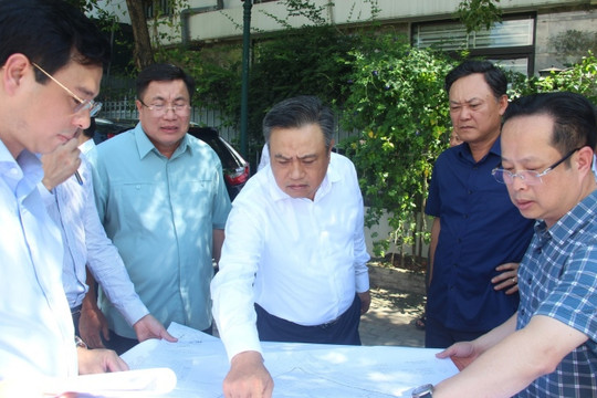 Chủ tịch Hà Nội chỉ đạo quận Hoàng Mai thu hồi đất để ưu tiên xây trường học