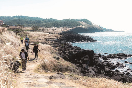 Trải nghiệm du lịch chữa lành cao cấp đầy mới mẻ ở đảo Jeju