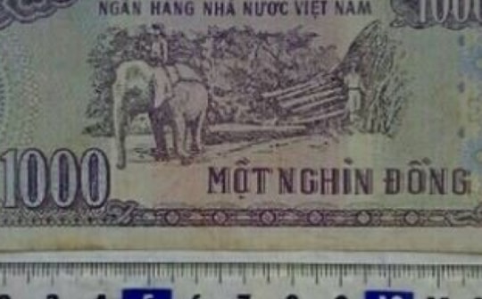 Tờ tiền 1000 đồng được rao bán trên mạng, "hét" mức giá cao gây xôn xao