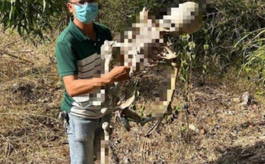 Công an công bố sự thật về 'bộ xương người' trong rừng ở Quảng Nam
