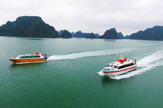 Bão số 1 sắp vào bờ: Tour du lịch ra đảo Quảng Ninh dừng hoạt động, khách kéo nhau về đất liền