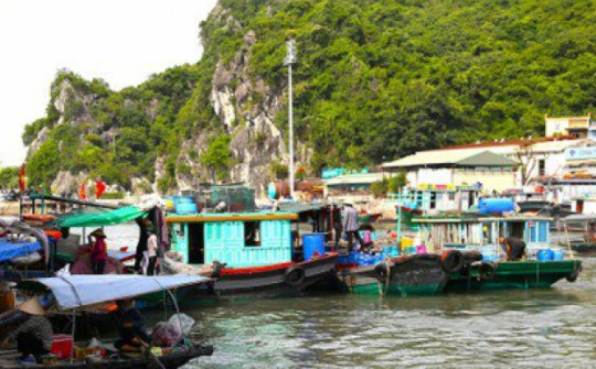 Quảng Ninh cấm biển từ 15h chiều nay, ngư dân hối hả tìm chỗ trú