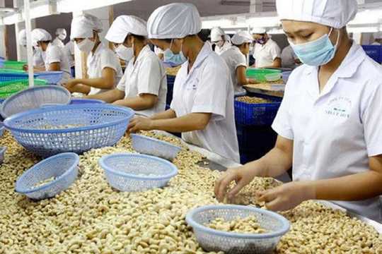 3 doanh nghiệp Việt xuất khẩu tiêu, điều nghi bị đối tác UAE lừa đảo, quỵt tiền