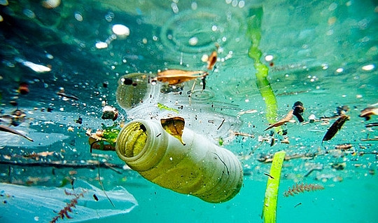 Hiểm họa ô nhiễm vi nhựa ở Việt Nam