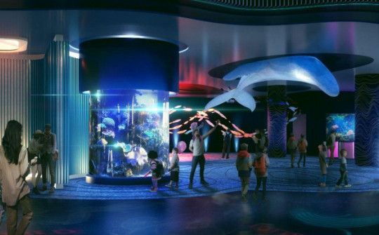 Thủy cung Lotte World Hà Nội – Thế giới đại dương đầy màu sắc sắp khai trương giữa lòng Thủ đô