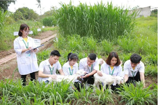 Điểm chuẩn xét tuyển 2023 Học viện Nông nghiệp Việt Nam