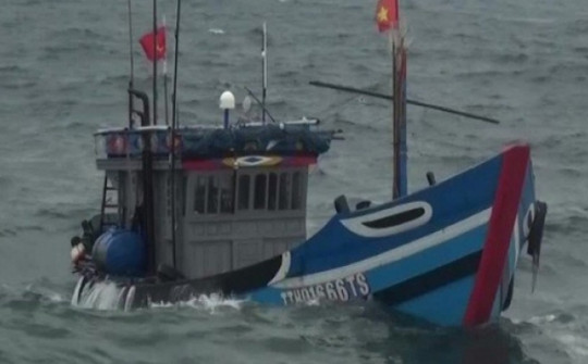 Chìm tàu câu mực, 2 ngư dân Bình Định mất tích