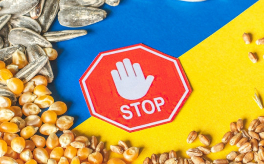 5 quốc gia thuộc EU kéo dài lệnh cấm nhập khẩu ngũ cốc Ukraine