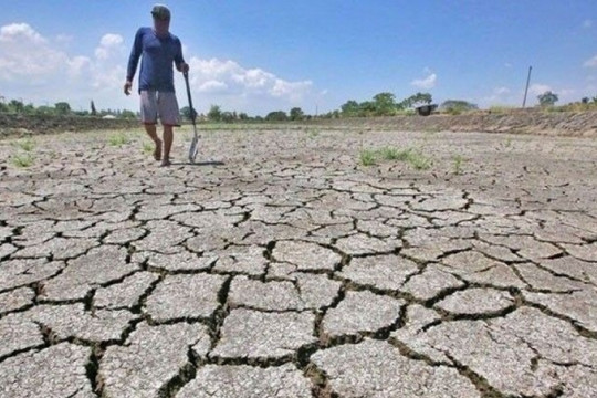 Đối phó El Nino, Indonesia thu mua dự trữ 750.000 tấn gạo
