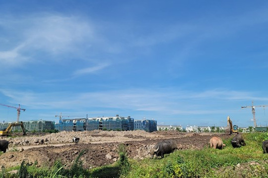 Hà Nội: Cận cảnh khu đô thị bỏ hoang hơn thập kỷ nhiều lần bị UBND thành phố nhắc nhở