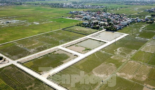Nghệ An: Huyện đề nghị tỉnh thanh tra toàn diện vụ kế toán xã đấu giá trúng 23 lô đất