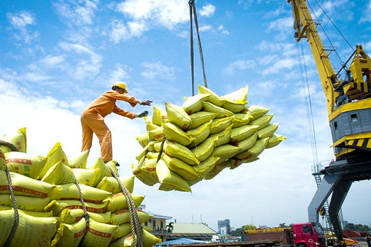 Ấn Độ cấm xuất khẩu gạo: Doanh nghiệp Việt dè chừng