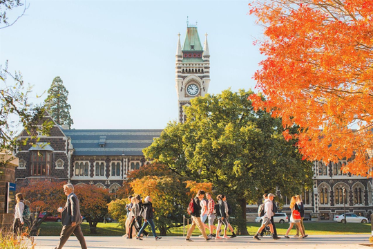 Lựa chọn lộ trình vào Đại học phù hợp khi du học New Zealand