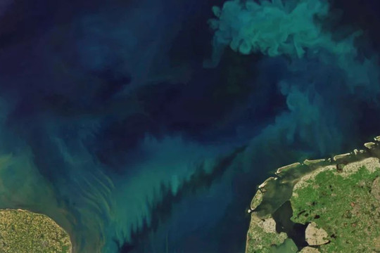 Biến đổi khí hậu có thể làm đổi màu đại dương trên Trái Đất