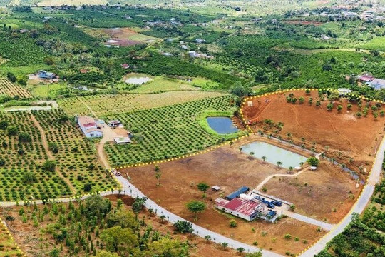 Hai địa phương tại Lâm Đồng cho phép chuyển mục đích sử dụng đất trở lại