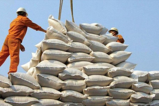 Cục trưởng Cục Trồng trọt: Việt Nam không lo thiếu gạo khi tăng xuất khẩu