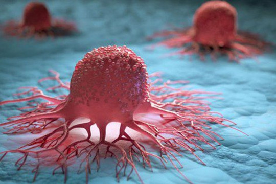 Đại học Stanford Mỹ tìm ra cách khiến tế bào ung thư tự hủy
