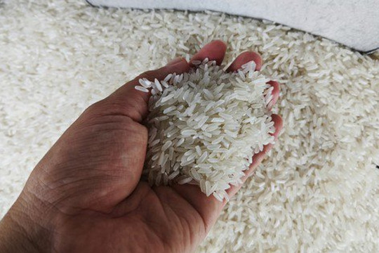 Một cổ phiếu ngành gạo tăng giá gần gấp 3 lần chỉ trong 2 tuần