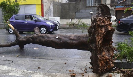 Nhật Bản "báo động" vì bão lớn: Gió quật đổ xe, sóng đánh dồn dập; đã có người thiệt mạng