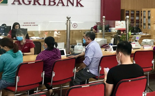 Ngân hàng Agribank rao bán loạt BĐS liên quan đến Tập đoàn Tân Hoàng Minh tại Phú Quốc