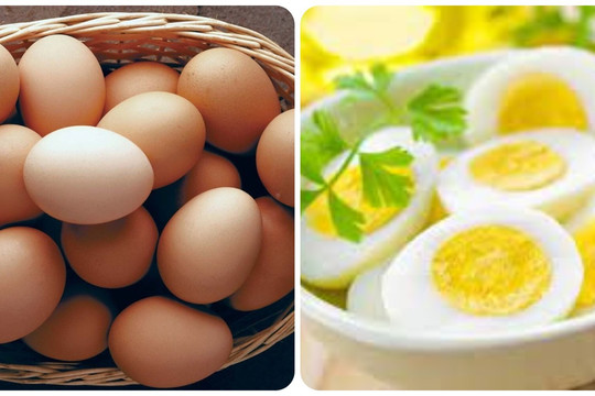 Ăn nhiều trứng có tốt không?