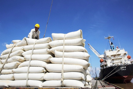 Lãnh đạo Cục Trồng trọt: 'Nguồn hàng lúa gạo trong nước vẫn dồi dào'