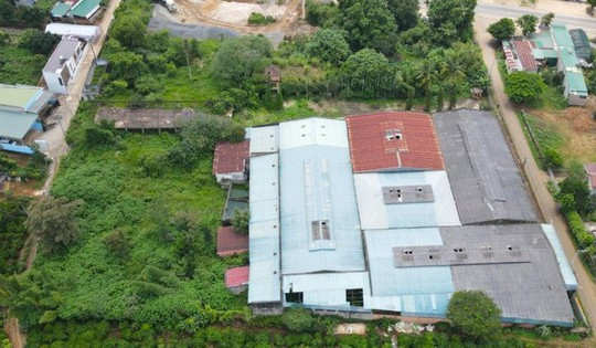 Ông Đặng Lê Nguyên Vũ muốn nhận lại 4.337 m2 đất ở Lâm Đồng