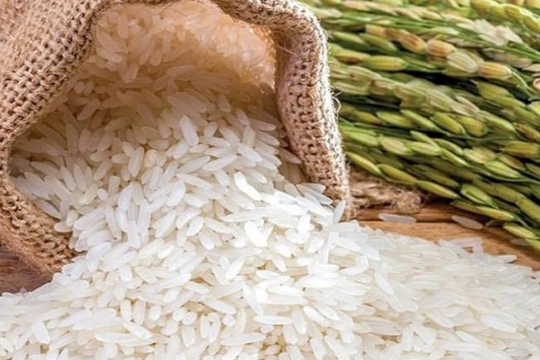 Giá lúa gạo hôm nay 12/8/2023: Giá gạo trong nước tiếp đà giảm