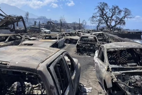 Cháy rừng như 'tận thế' ở Hawaii: Vì sao lan quá nhanh, quá nhiều người chết?