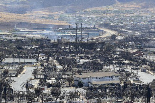 Cháy rừng Hawaii: Tang thương và giận dữ