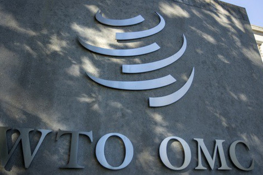 WTO ra phán quyết có lợi cho Mỹ, Trung Quốc không chịu thua