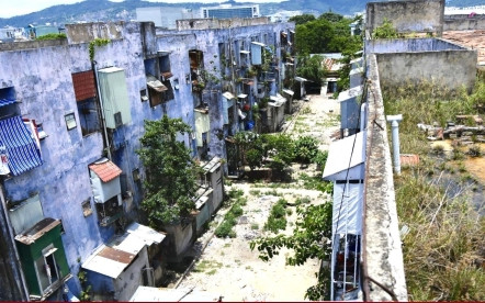 Gần 300 hộ dân sống bất an trong chung cư xuống cấp, lúc nhúc chuột: Sở Xây dựng Đà Nẵng nói gì?