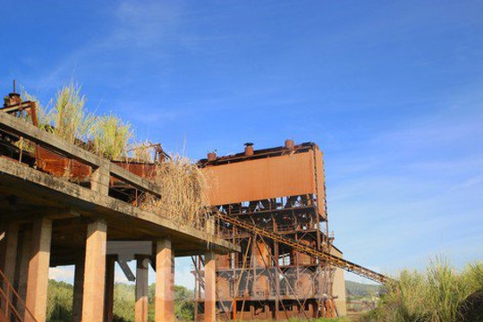 Cảnh hoang tàn nhà máy hơn 150 tỷ đồng thành... đống sắt vụn