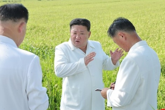 Ông Kim Jong-un ra chỉ thị nóng trong chuyến thị sát vùng lũ