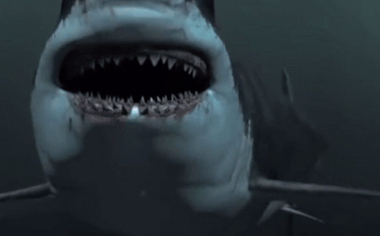 Lý giải nguyên nhân loài cá mập Megalodon khổng lồ tuyệt chủng