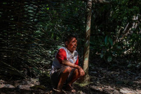 Những người sống sót cuối cùng của bộ tộc bản địa Amazon