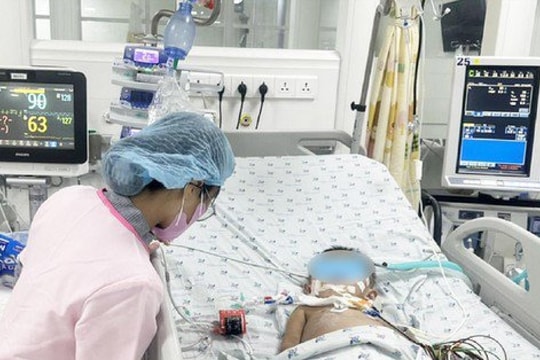 Hà Nội, TPHCM sốt xuất huyết tăng: Nhiều trường hợp nguy kịch