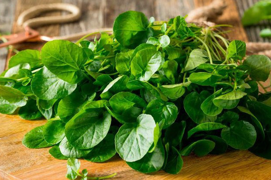 Loại rau xuất xứ từ châu Âu, chợ Việt bán nhiều với giá chỉ 40.000 đồng/kg, được mệnh danh là chống ung thư tốt nhất thế giới