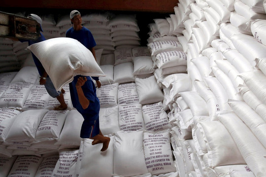 Giá gạo tăng kỷ lục, châu Á đứng trước nguy cơ gặp "cơn bão hoàn hảo"
