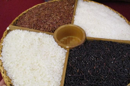 Thị trường lúa gạo Việt Nam sẽ ra sao sau động thái mới của Ấn Độ, Myanmar?