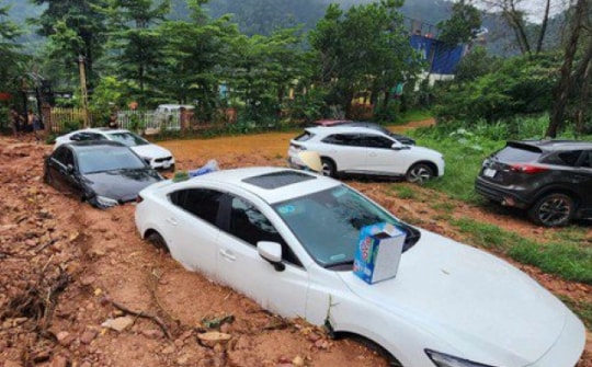 Hà Nội: Thanh tra, xử lý triệt để các trường hợp vi phạm về quản lý sử dụng đất, bảo vệ rừng