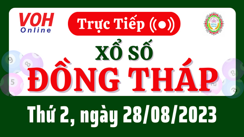 XSDT 28/8 - Kết quả xổ số Đồng Tháp hôm nay thứ 2 ngày 28/8/2023